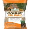 Black Beauty Fall Magic Grass Seed