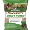 Black Beauty Shady Nooks Grass Seed