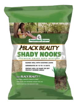 Black Beauty Shady Nooks Grass Seed