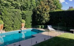 Bay Laurel (Sweet Bay) - Laurus Nobilis - 1 Gallon Pot -Garden Care Bay Laurel 7