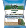 Blue Panther Kentucky Bluegrass Grass Seed
