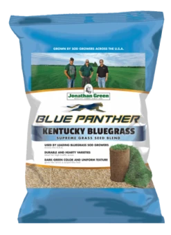 Blue Panther Kentucky Bluegrass Grass Seed