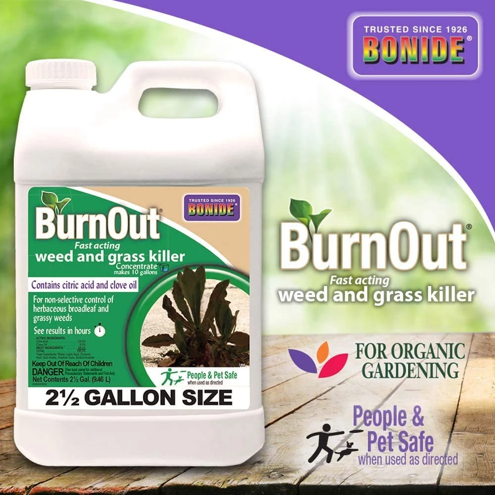 Bonide Burnout Weed & Grass Killer CONC QT 1 Bonide Burnout Weed & Grass Killer CONC QT