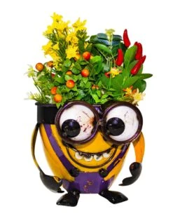Think! Planter Minion Crazy Look-Down
