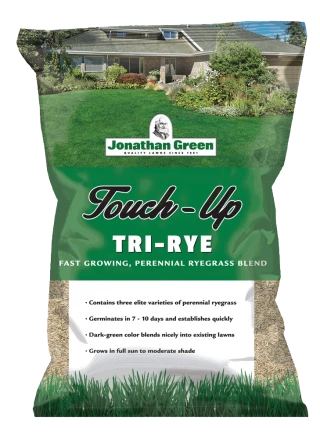 Touch-Up TRI-RYE Perennial Ryegrass 1 Touch-Up TRI-RYE Perennial Ryegrass