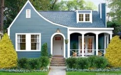 Gold Mop Threadleaf Cypress - 1 Gallon Pot -Garden Care chamaecyparis pisifera gold mop cypress 105