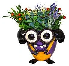 Think! Planter Minion Crazy Look-Straight