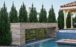 Spartan Juniper - 3 Gallon Pot 9 Spartan Juniper - 3 Gallon Pot -Garden Care juniperus chinensis spartan columnar juniper 40