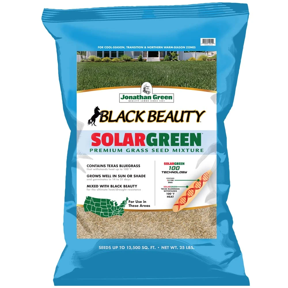 Black Beauty SolarGreen Texas Bluegrass Grass Seed 1 Black Beauty SolarGreen Texas Bluegrass Grass Seed