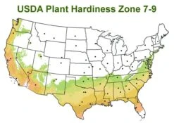 Chisato No Aki Camellia Japonica - 3 Gallon Pot -Garden Care usda zone 7 9 map 600x425 1